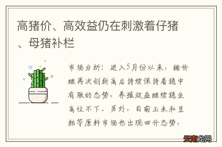 高猪价、高效益仍在刺激着仔猪、母猪补栏