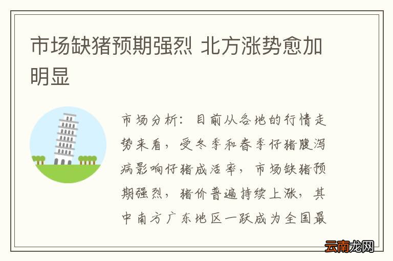 市场缺猪预期强烈 北方涨势愈加明显