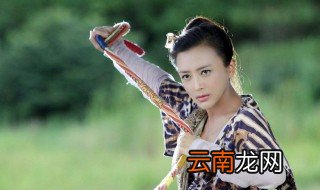 樊梨花大结局 故事概要