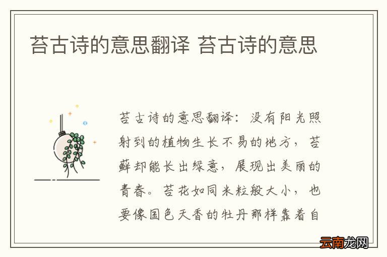 苔古诗的意思翻译 苔古诗的意思