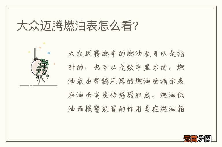 大众迈腾燃油表怎么看?