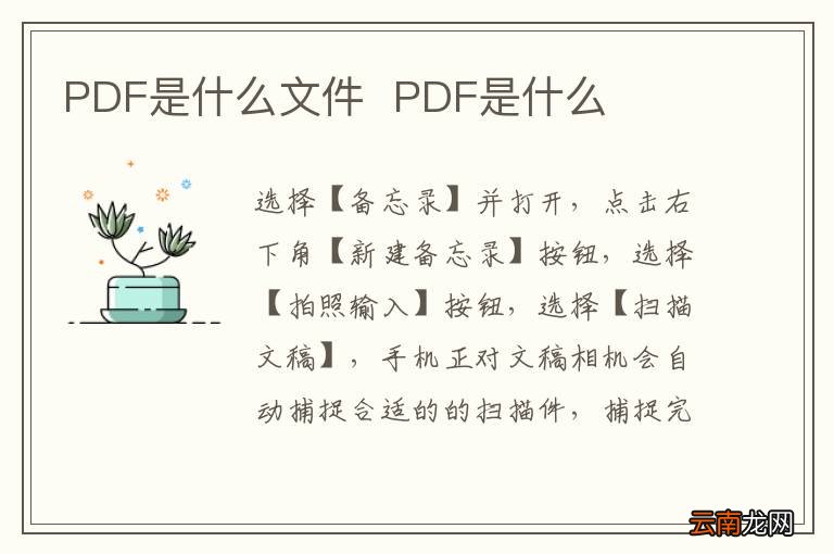 PDF是什么文件PDF是什么