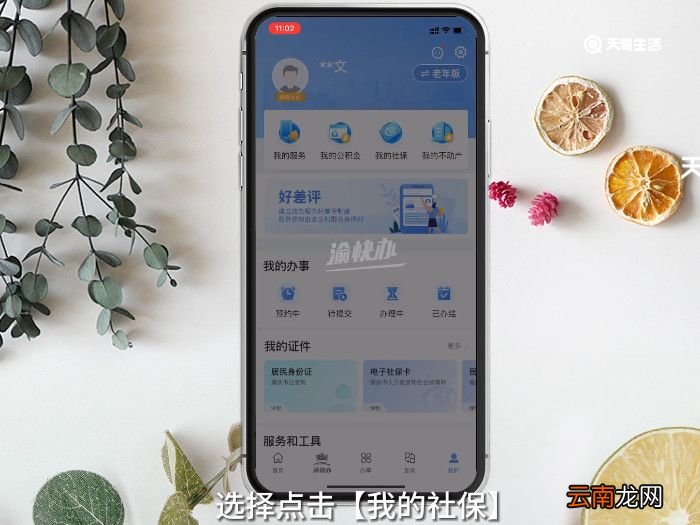 怎样查养老保险，怎样查养老保险缴费记录