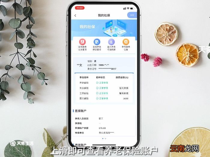 怎样查养老保险，怎样查养老保险缴费记录