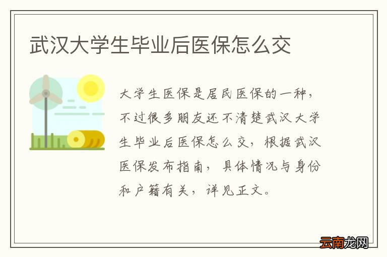 武汉大学生毕业后医保怎么交