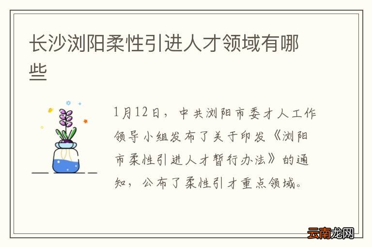 长沙浏阳柔性引进人才领域有哪些