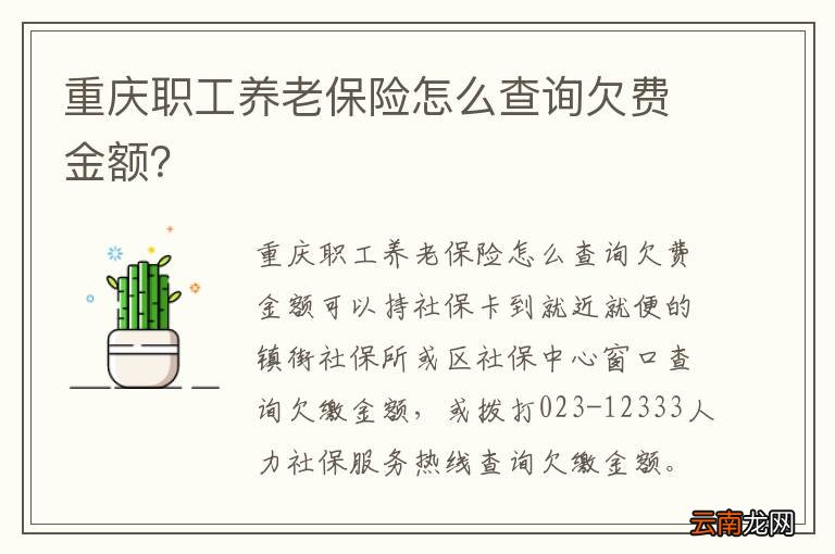 重庆职工养老保险怎么查询欠费金额？