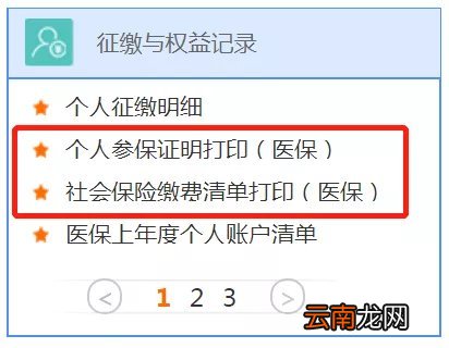 南京人社网办大厅社保缴费清单打印指南