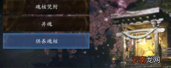 仁王2供养魂核什么意思 仁王2供养魂核含义