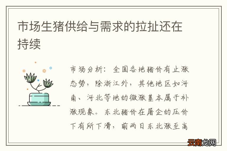市场生猪供给与需求的拉扯还在持续