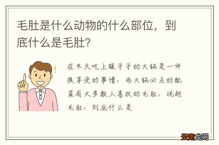 毛肚是什么动物的什么部位，到底什么是毛肚？