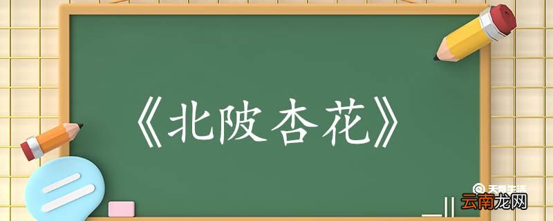 北陂杏花古诗翻译赏析 北陂杏花古诗的翻译赏析