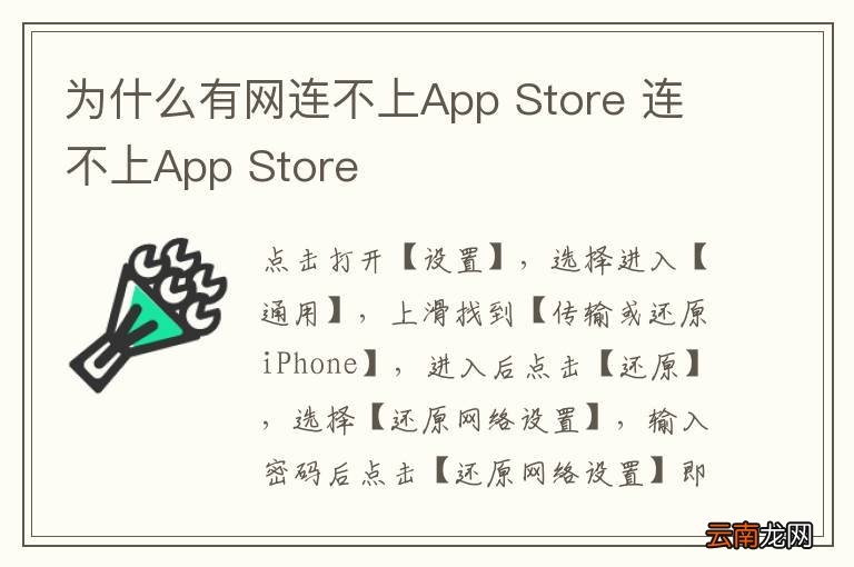 为什么有网连不上App Store 连不上App Store