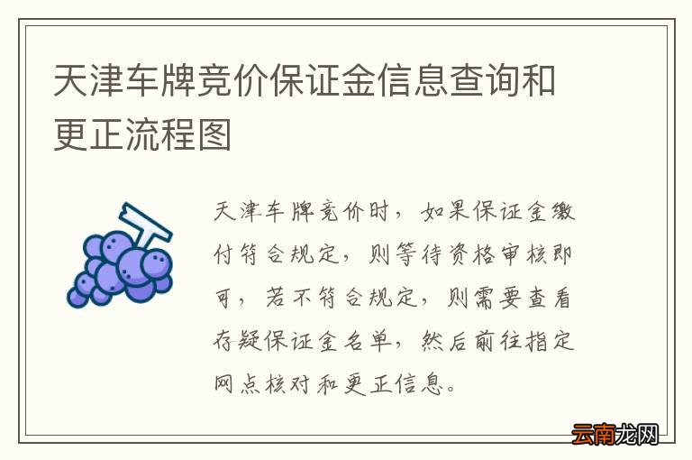 天津车牌竞价保证金信息查询和更正流程图