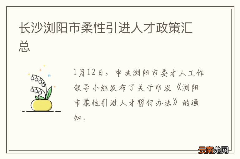 长沙浏阳市柔性引进人才政策汇总