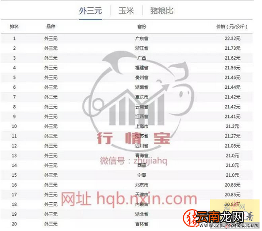 猪价给有上涨的机会了 猪价上涨受阻