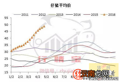 猪价给有上涨的机会了 猪价上涨受阻