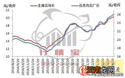 猪价给有上涨的机会了 猪价上涨受阻