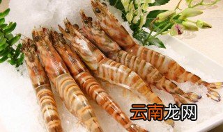 斑节对虾介绍 斑节对虾的简介