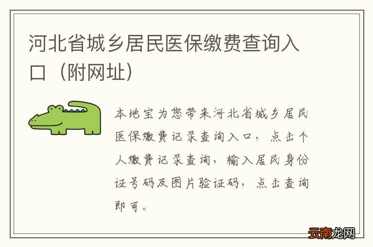 附网址 河北省城乡居民医保缴费查询入口