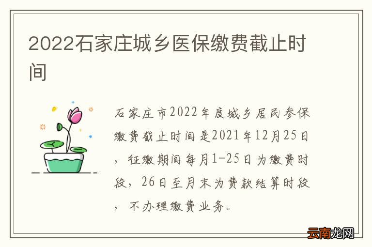 2022石家庄城乡医保缴费截止时间