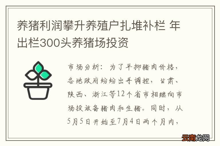 养猪利润攀升养殖户扎堆补栏 年出栏300头养猪场投资