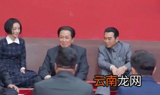 外交风云中何子枫原形是谁 喜欢的朋友可以去看