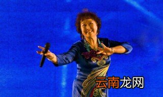 评剧演员谷文月与崔连润谁唱的好 评剧是什么呢