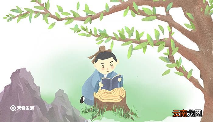 我亦无他惟手熟尔的意思翻译 我亦无他惟手熟尔的翻译