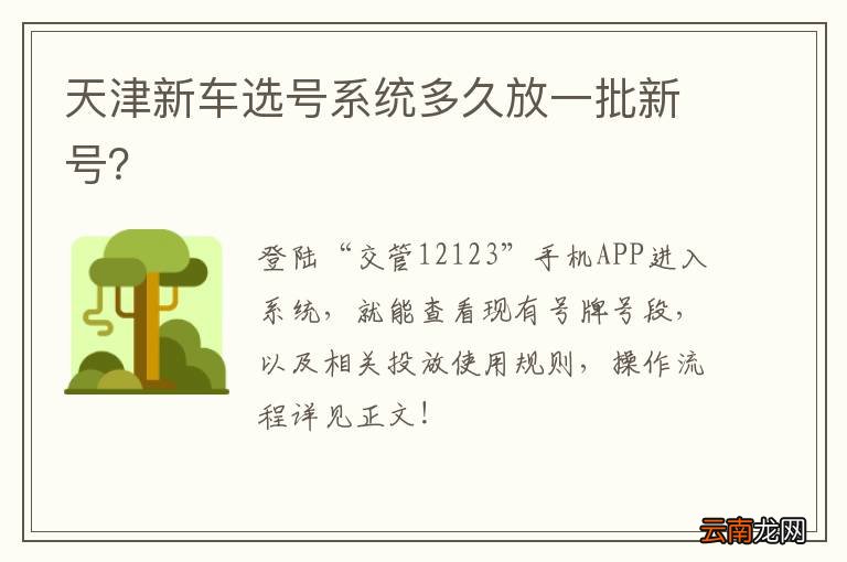 天津新车选号系统多久放一批新号？