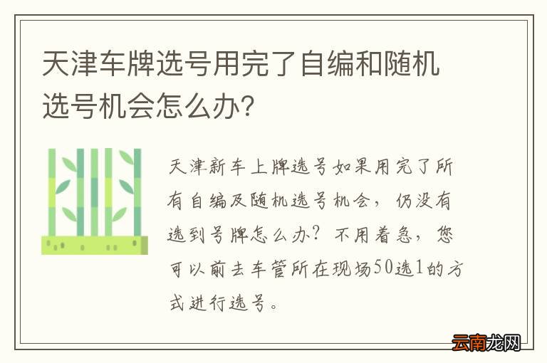 天津车牌选号用完了自编和随机选号机会怎么办？
