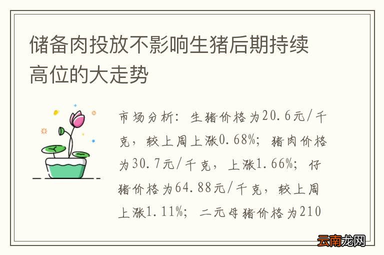 储备肉投放不影响生猪后期持续高位的大走势