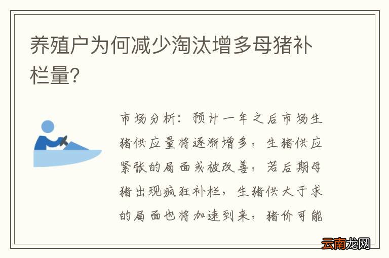 养殖户为何减少淘汰增多母猪补栏量？