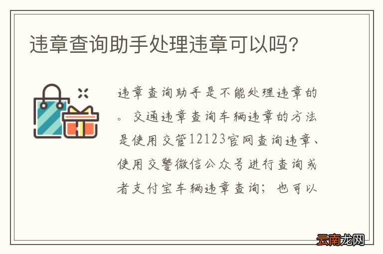 违章查询助手处理违章可以吗?