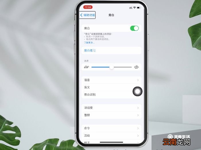 iphonex打开旁白后怎么解锁 iphonex打开旁白后如何解锁