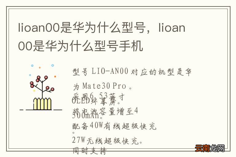 lioan00是华为什么型号，lioan00是华为什么型号手机