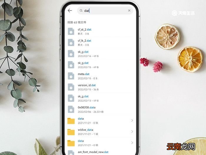 dat文件如何打开 dat怎么打开