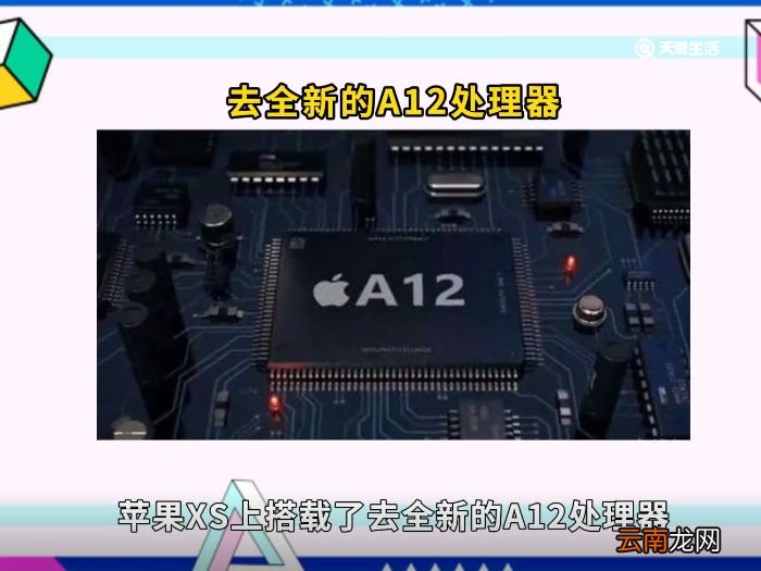 iphonexs尺寸多大 iphonexs尺寸