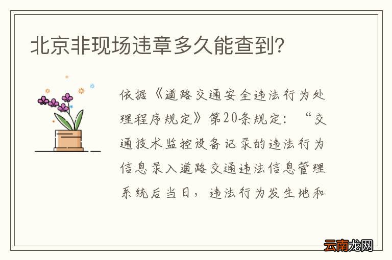 北京非现场违章多久能查到？