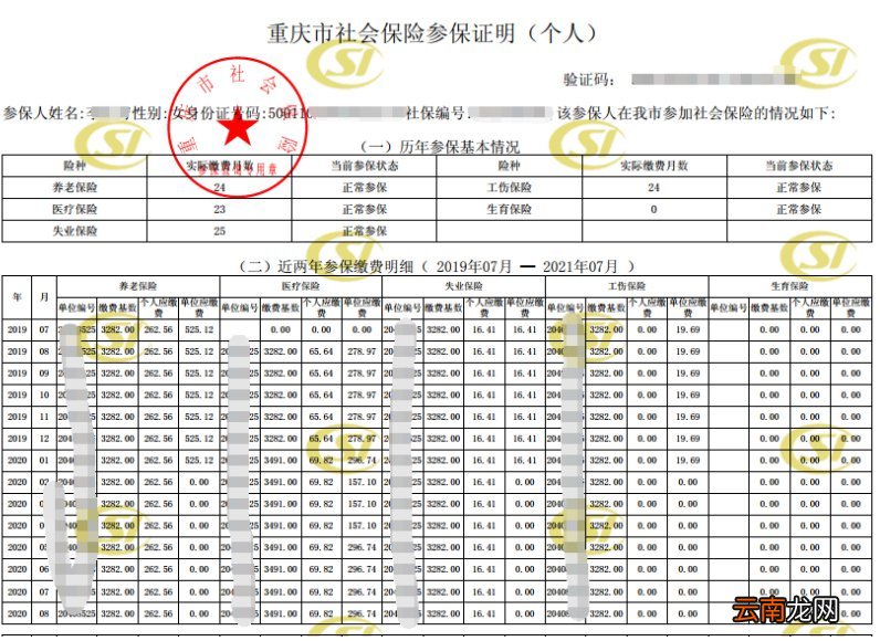 重庆社保流水网上打印流程