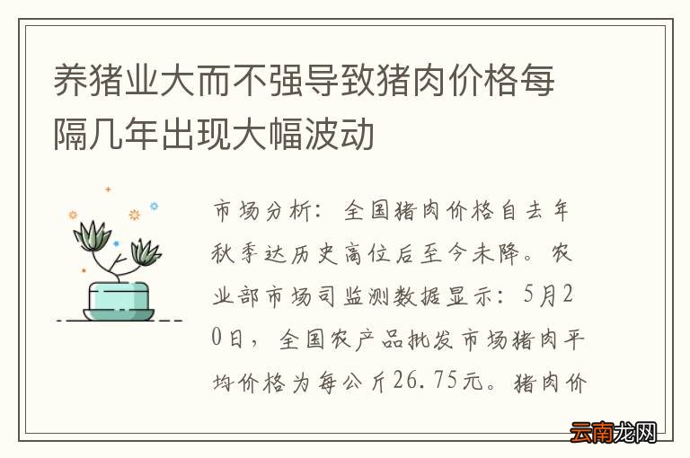 养猪业大而不强导致猪肉价格每隔几年出现大幅波动