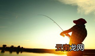 怎么钓大头鱼 钓大头鱼详细方法介绍