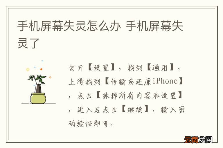 手机屏幕失灵怎么办 手机屏幕失灵了