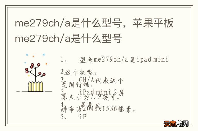 me279ch/a是什么型号，苹果平板me279ch/a是什么型号