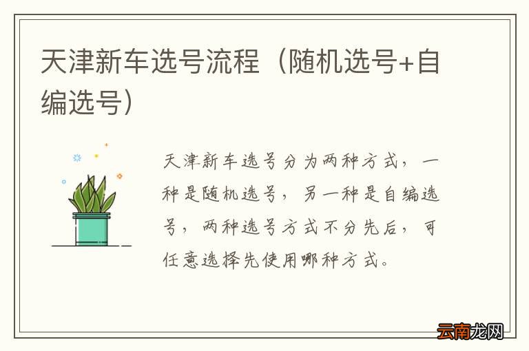 随机选号+自编选号 天津新车选号流程