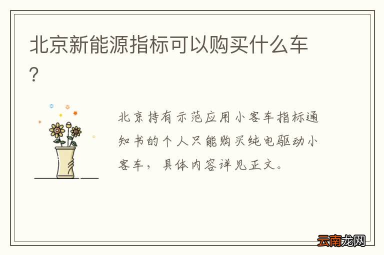 北京新能源指标可以购买什么车？