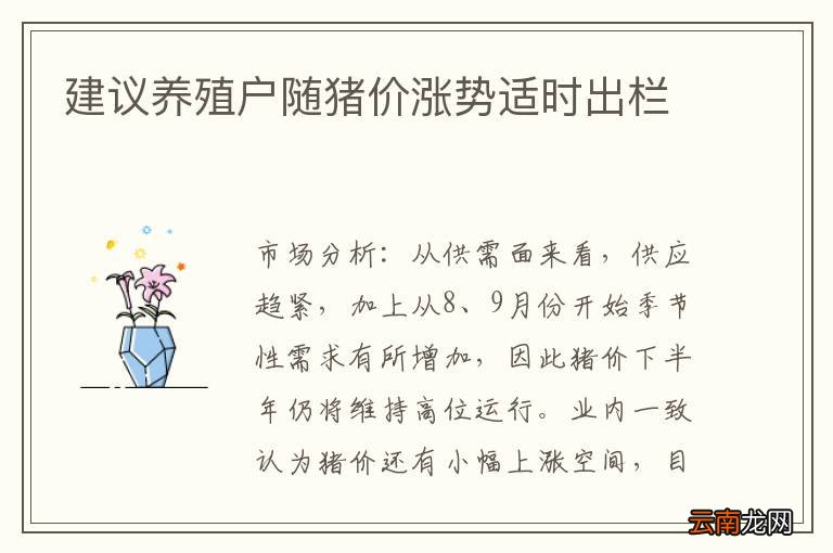 建议养殖户随猪价涨势适时出栏