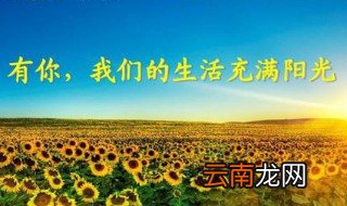 我们的生活充满阳光原唱 送给喜欢的你