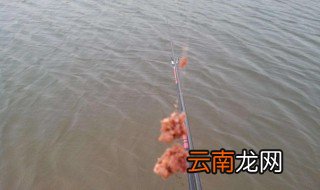 黑坑钓鲤鱼调漂方法 黑坑钓鲤鱼如何调漂