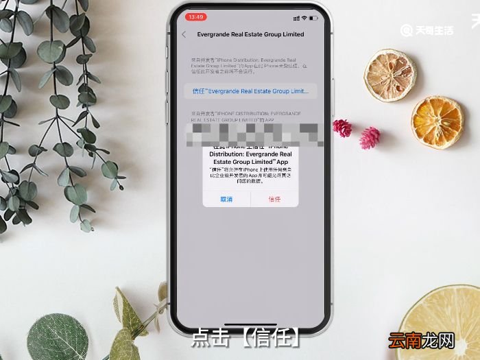 iOS信任软件怎么设置 iOS信任软件设置方法